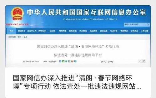 清朗行动圈内爆料是什么,圈内爆料背后的真相与影响