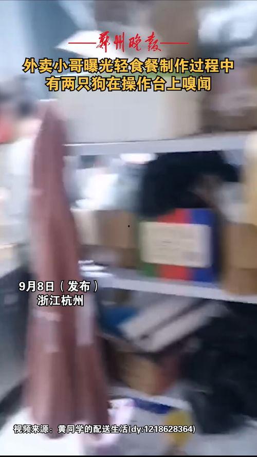 爆料轻食的外卖小哥视频,轻食外卖背后的真实故事